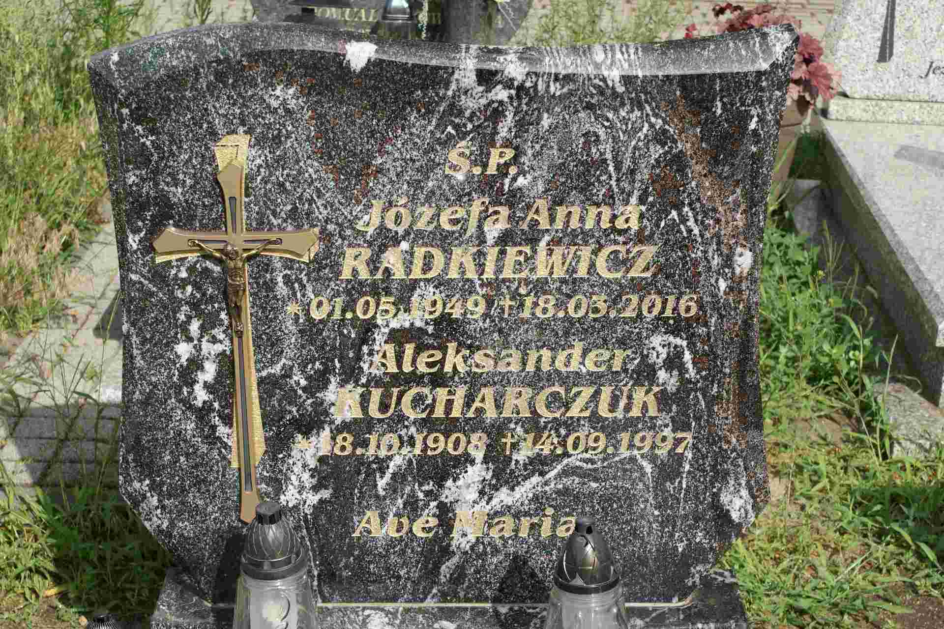 JÓZEFA ANNA RADKIEWICZ 1949 Cybinka - Grobonet - Wyszukiwarka osób pochowanych