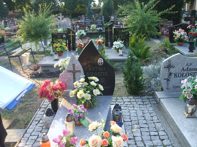 Grób Antoni Kołoszyc