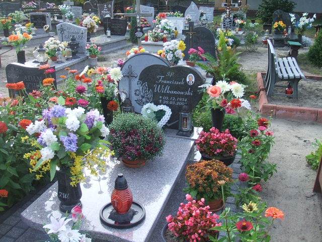 Grób Franciszek Wilkanowski