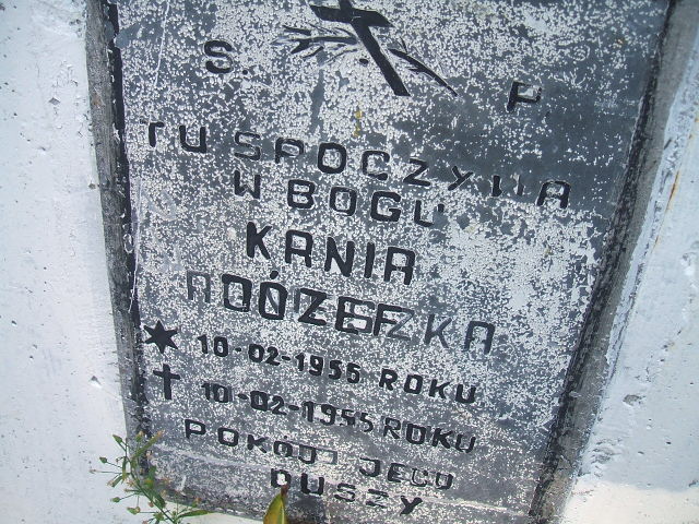 Józef Kania 1955 Cybinka - Grobonet - Wyszukiwarka osób pochowanych