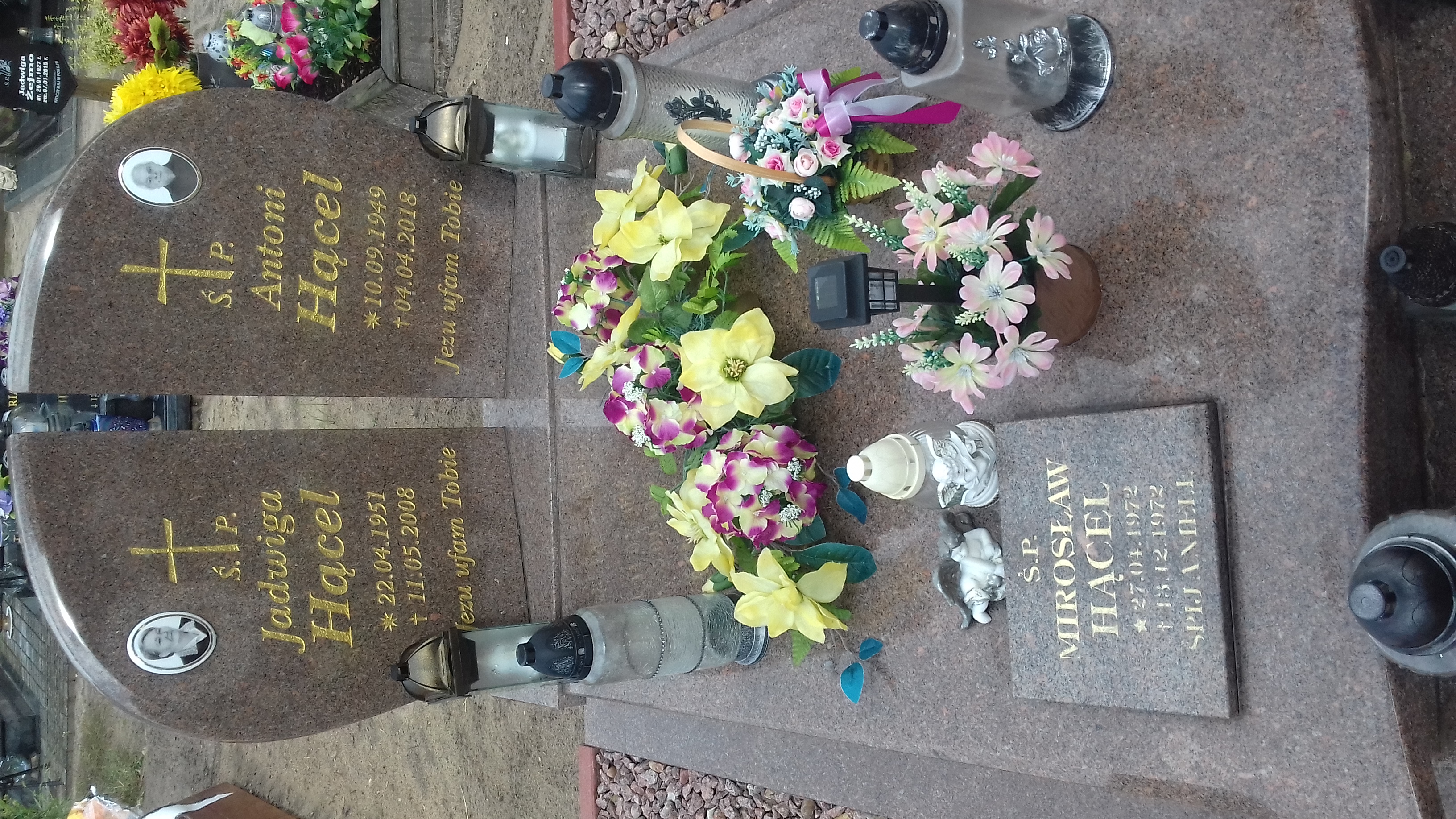 Antoni Franciszek HĄCEL 1949 Cybinka - Grobonet - Wyszukiwarka osób pochowanych