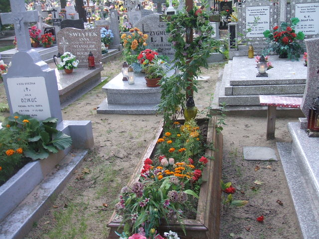  NN Cybinka - Grobonet - Wyszukiwarka osób pochowanych