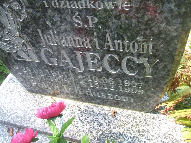 Antoni Gajecki 1907 Cybinka - Grobonet - Wyszukiwarka osób pochowanych